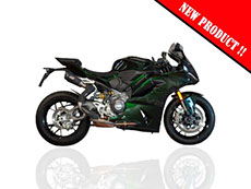 Panigale v2 2025>